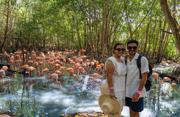 Full-Day Tour Isla Baru - National Aviary of Colombia and Playa Blanca