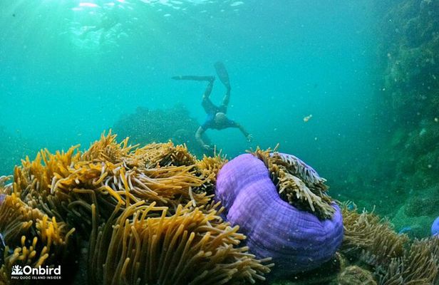 4 Islands & 2 Reefs - Discovery Snorkeling & Relaxing (MAX 12)