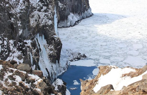 3.5hours Primeval Forest Snowshoe hike and Wildlife Watching Tour