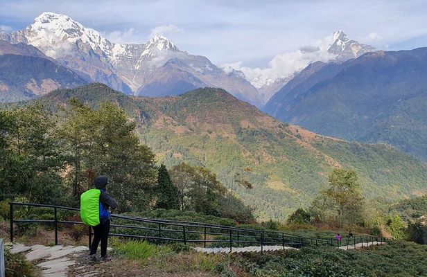 Mountains, Wildlife and Culture Tour