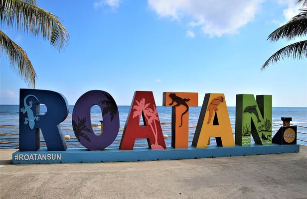 Roatan Excursion: Sloths and monkey hang out /Chocolate & Rum C.