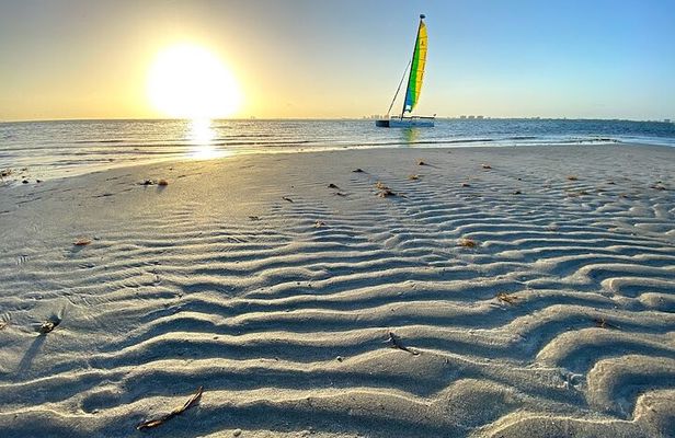 Half-Day Private Guided Sailing Adventure of Miami's Biscayne Bay