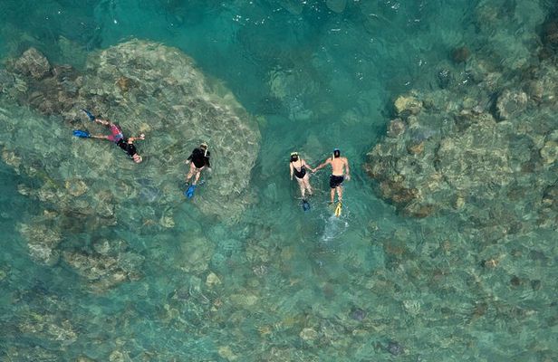 Lady Enid Sailing to Hook Island Cultural Site & Snorkelling