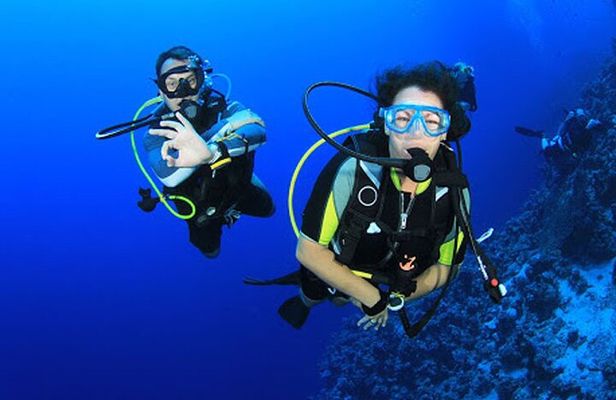 Intro Diving for Beginners in Hurghada with Pick-up and Lunch
