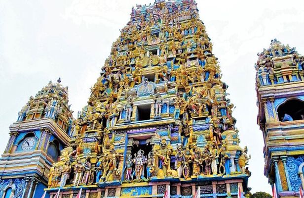 Private Colombo Half Day City Tour 