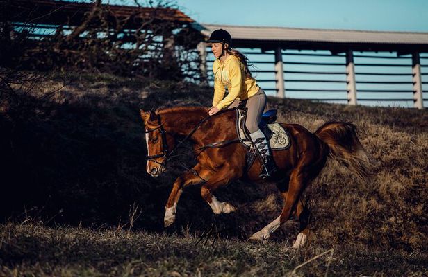 1-Hour Small-Group Horseback Riding Guided Activity from Ljubljana