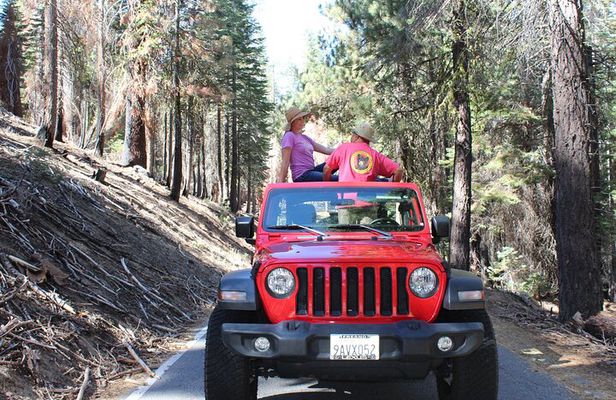 Jeep 4 X 4 Yosemite Park Tour with Hotel Pickup