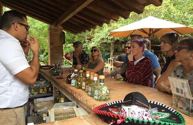 Artisans Town and Agave Distilled Factory