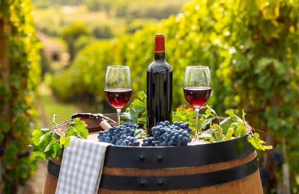 Private Top Award-Winning Cape Wine Tasting Full Day Tour