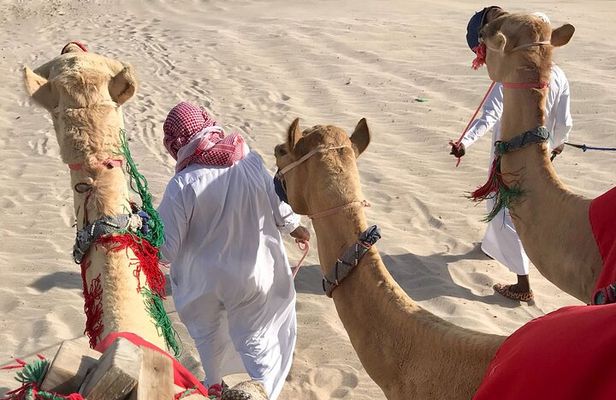 Camel trekking on the Dunes with Sunset