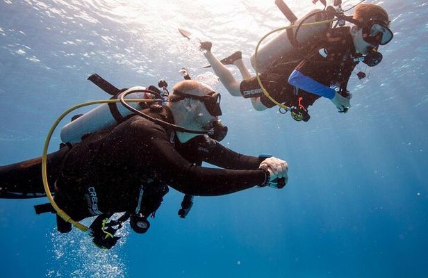 Discover Scuba Diving in Montego Bay-TWO Tank (First time Diving)