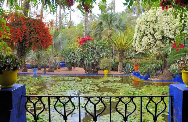 From Casablanca to Marrakech: A Day of History and Culture
