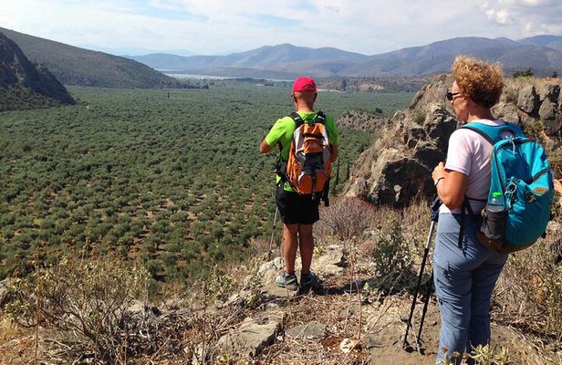 DELPHI Private Day Tour PLUS Hiking, BIking or Olive Tasting