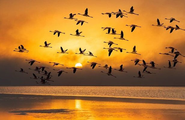 Sandwich Harbour 4x4 Private Guided Tour - Your very own private tour!
