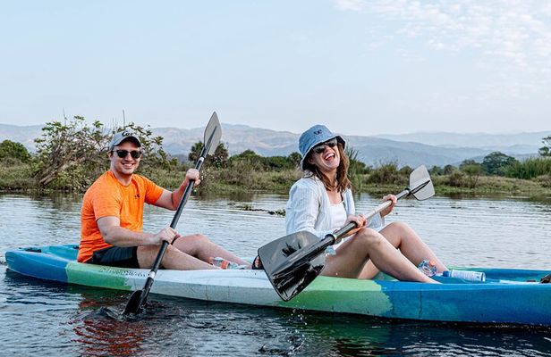 Mangrove Kayaking Tour