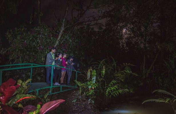 Ecogarden Arenal Night Walk