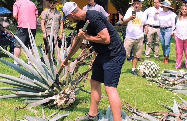 Private Adventure Day Tour in Tequila and Tequilera Cava de Oro