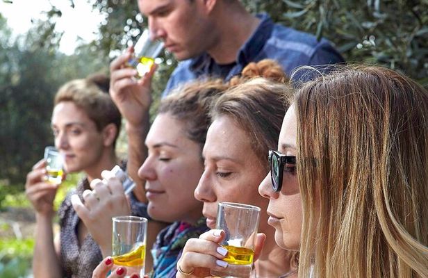 Bio Farm Private Olive Oil Tasting, Farm to Fork Meal & Temple of Poseidon Tour