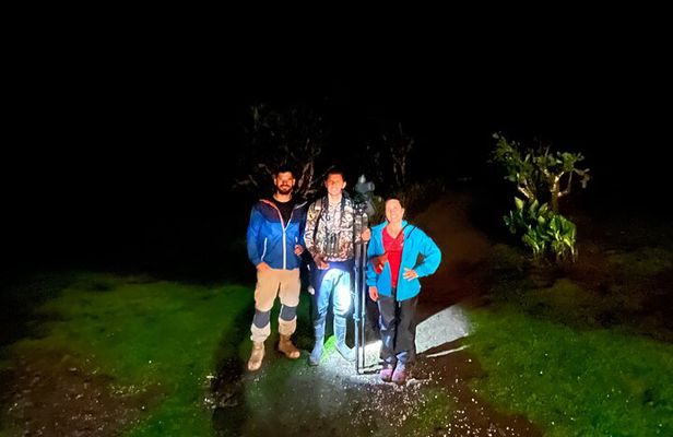Night walk among the natural jewels of Monteverde