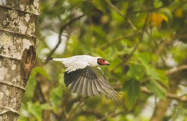 Cloud Forest Small Group Tour