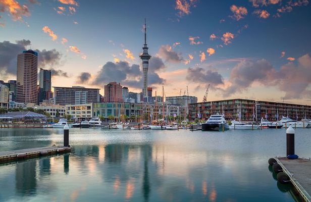 Romantic Charms of Auckland - Walking Tour