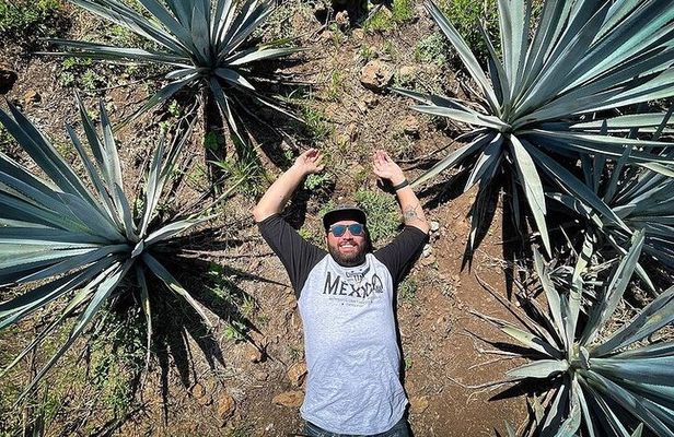 Private One Day Adventure Tour in Tequila and La Fortaleza Distillery