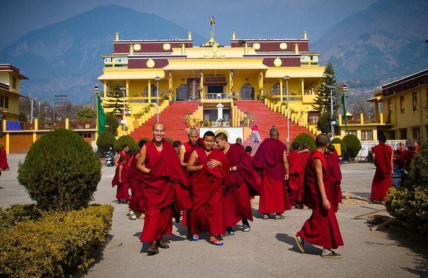 Guided Tibetan Culture Walk at Norbulingka,Gyuto and Nunnery