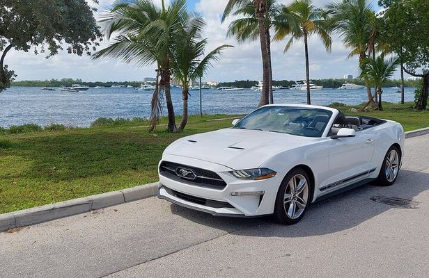 French tour of Miami in convertible mustang