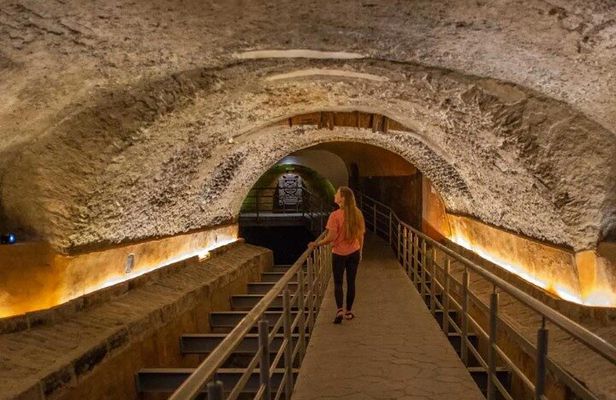 Private Day Adventure through the Guadalajara Museums and Michin Aquarium