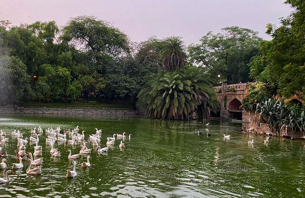 Heritage Delhi Private Walking & Shopping Tour
