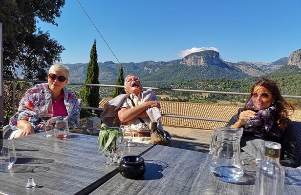 Discover the varieties of Mallorca wine,experience the real taste