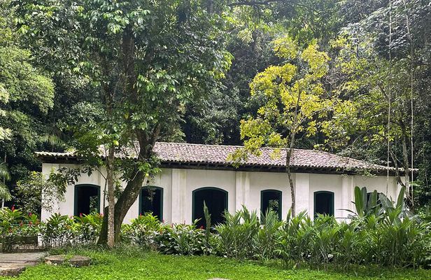 Private Botanical Garden Tour in Rio de Janeiro
