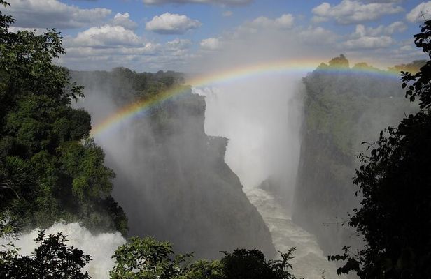 Private Guided Tour of Rain Forest Victoria Falls