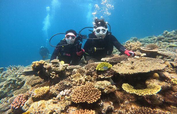 Okinawa: Discover SCUBA Diving 1 Dive at Minna, Sesoko or Motobu
