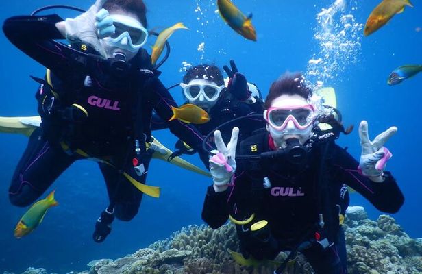 Discover SCUBA Diving 2 DIves 【Minna, Sesoko , Motobu Okinawa】