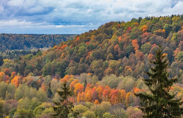 Latvia's Switzerland and Gauja National Park Tour