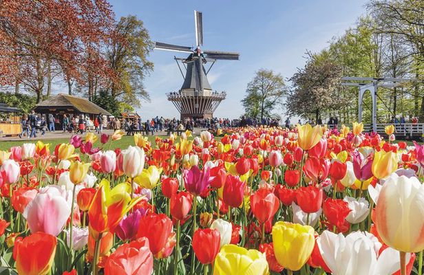 Keukenhof Ticket with Shuttle Bus from Amsterdam and Canal Cruise