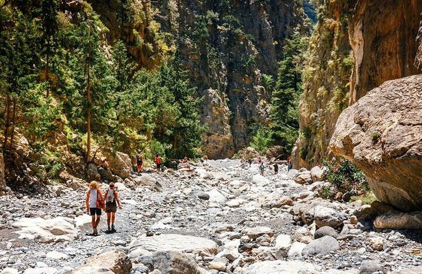 Full Day Tour Samaria Gorge From Chania
