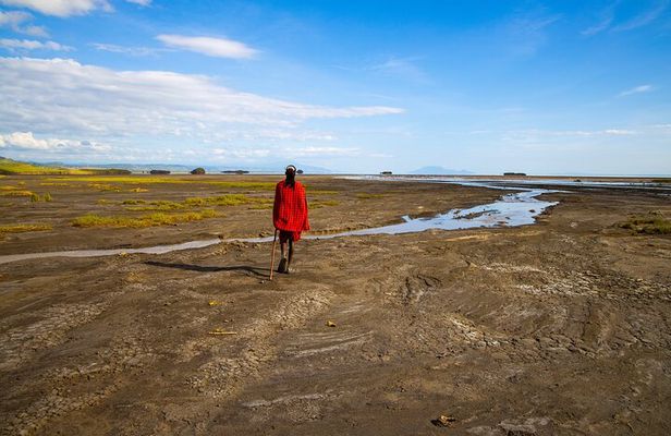 Arusha : 7 Day Safari Discover the real Africa from Lake Manyara