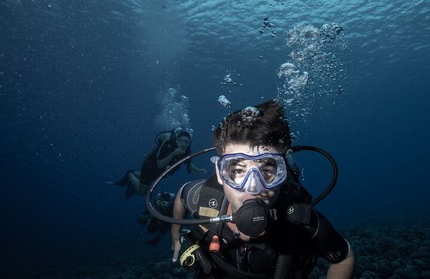 Introductory Scuba Diving Experience in Bora Bora