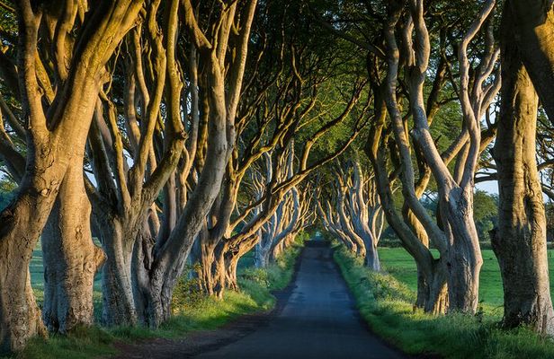Private Northern Ireland Day Tour from Dublin