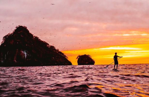 Bioluminescence by kayak or SUP to Los Arcos Puerto Vallarta