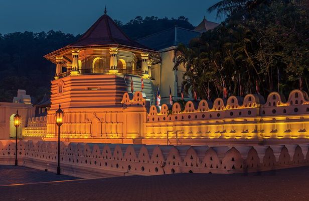Temple of the Tooth & Royal Botanical Gardens Tour