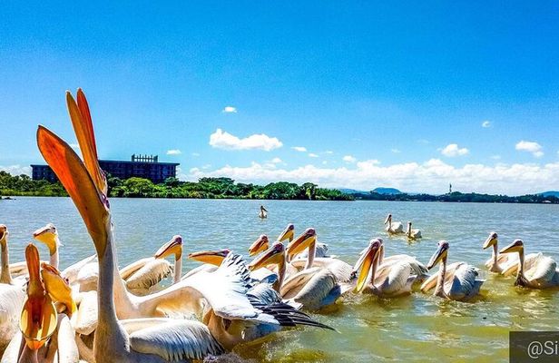 Full day Trip on Lake Tana
