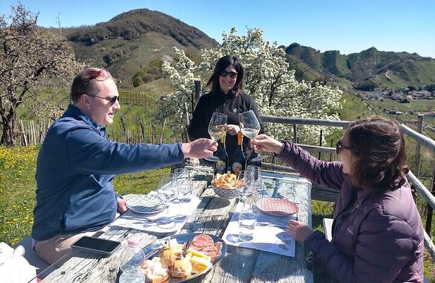 Prosecco Wine Tasting. Visit Treviso. From Venice 