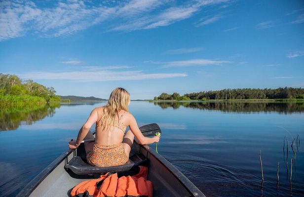 Everglades Explorer - Noosa Everglades Tour