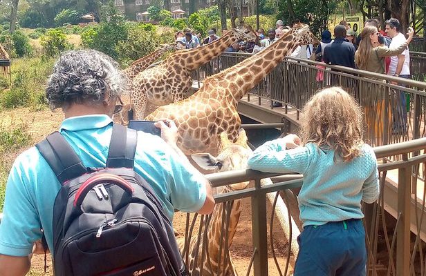 Private Tour in Giraffe Centre and Bomas of Kenya