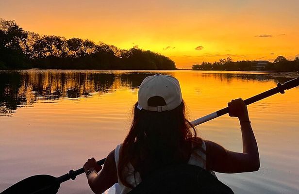 Guided Sunset Kayak Tour in Mauritius