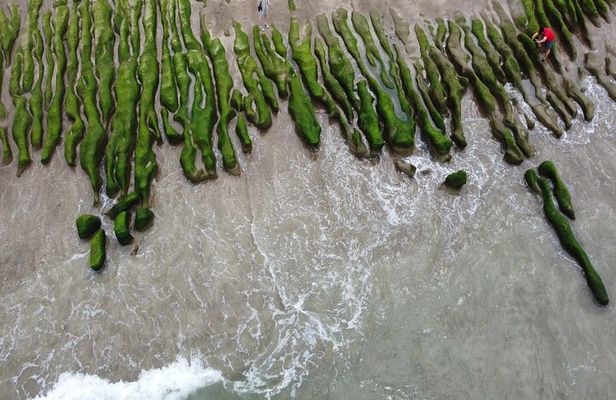 Private Laomei Green Reef Day Tour from Taipei