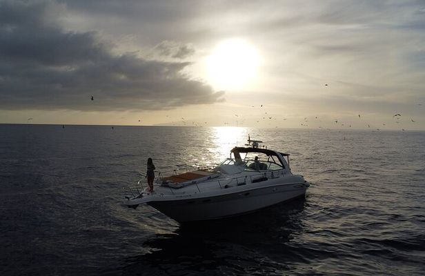 4 Hour Boat Tour with Snorkeling from Puerto Rico and Mogan